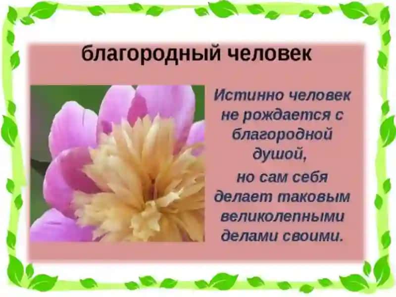 Благородныйчеловек 4