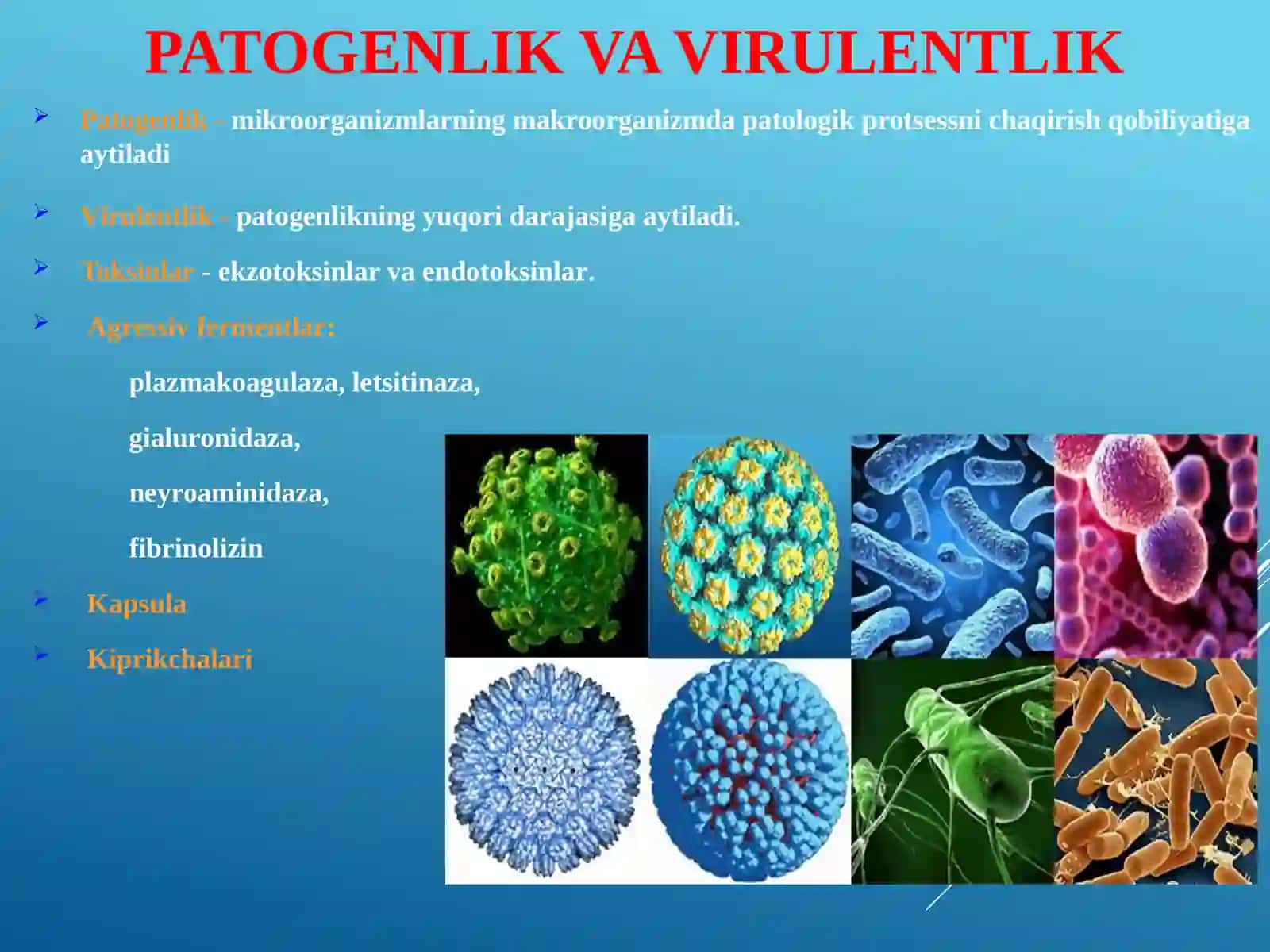 Infeksiyahaqida ta’limot. Mikroorganizmlar genetikasi. Vaksinalar va immun zardoblar,ularningturlari, olinishi, tibbiyot amaliyotidaqo’llanilishi 4