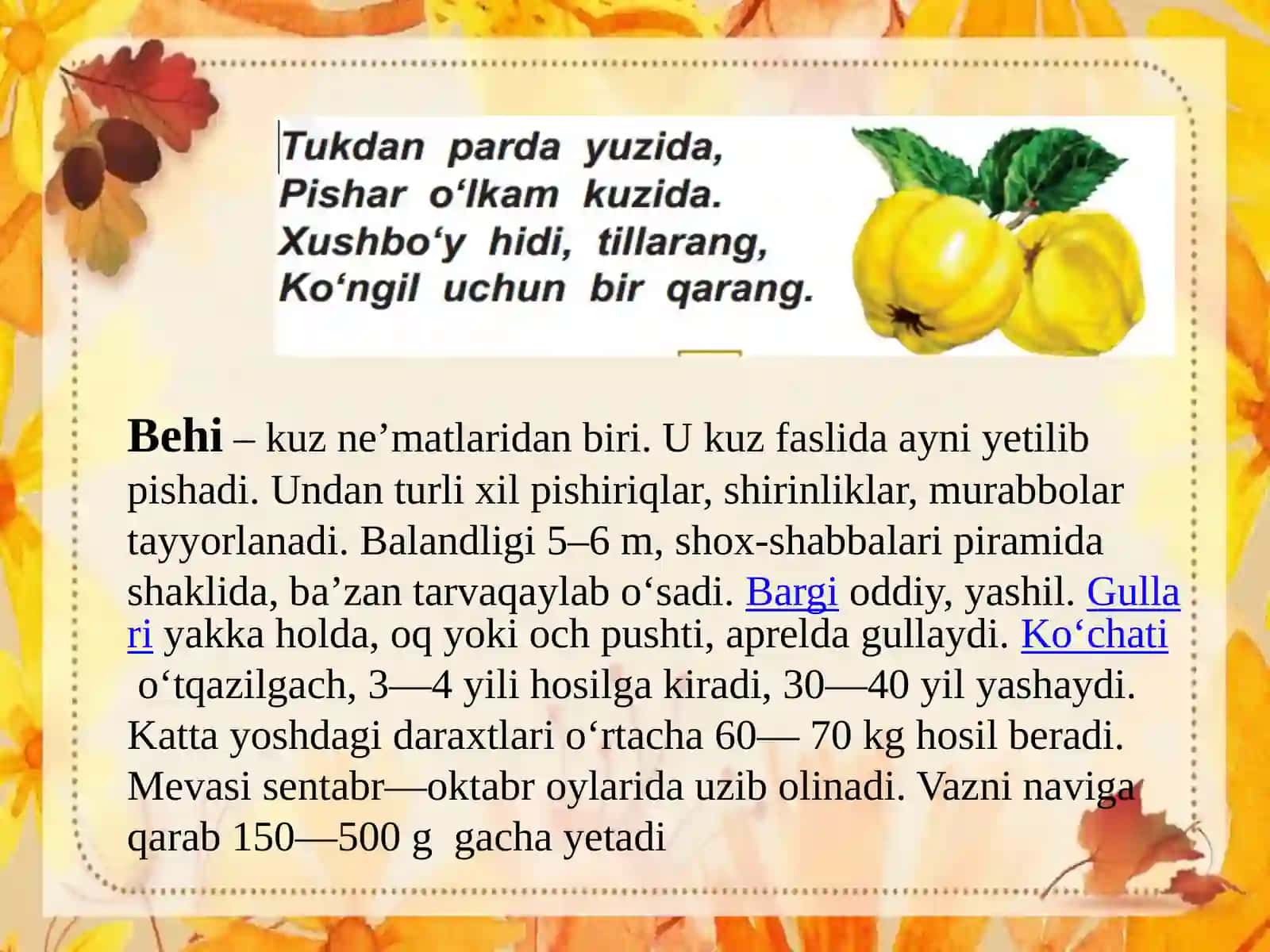 "“Kuz ko‘rinishlari” Habib Rahmat" 4
