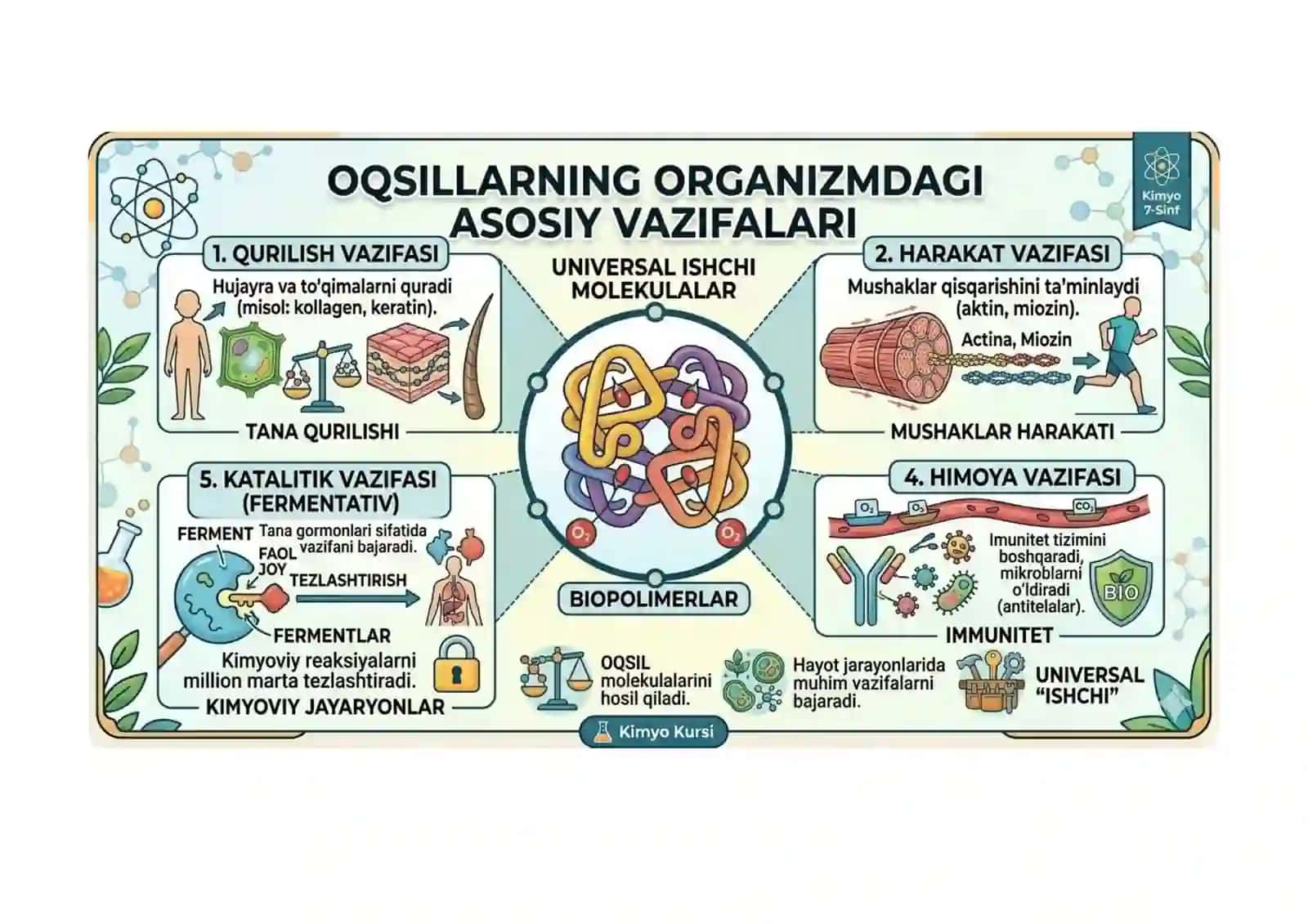 Oqsillar. Yog'lar. Uglevodlar Ko'rgazmali materiallar 4