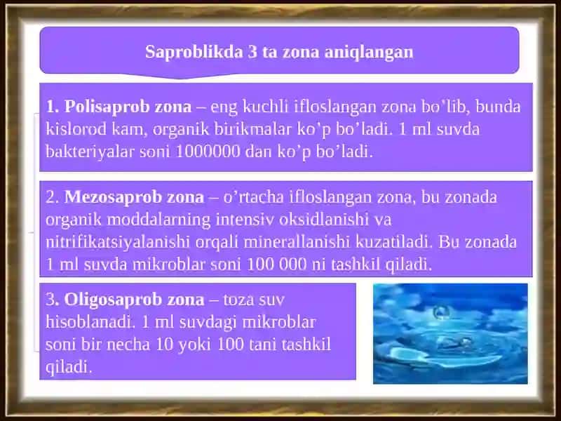Mikroorganizmlar ekologiyasi. Suv, tuproq, havo mikraflorasi, ularni  o’rganish usullari. 4