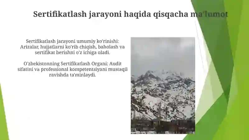 Auditing Sertifikatsiyasi uchun Asosiy Talablar va Standartlar 4