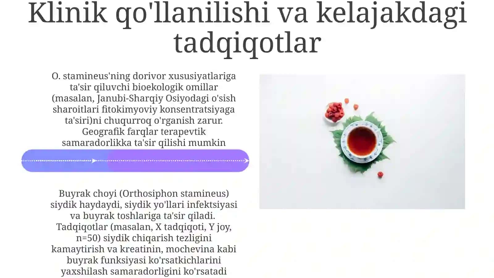 Buyrakchoyi(OrthosiphonstamineusBenth)bioekologik xususiyatlari va dorivorlik xususiyatlari 4