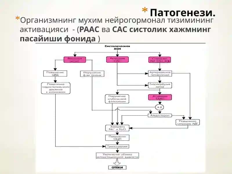 Сурункали юрак етишмовчилиги 4