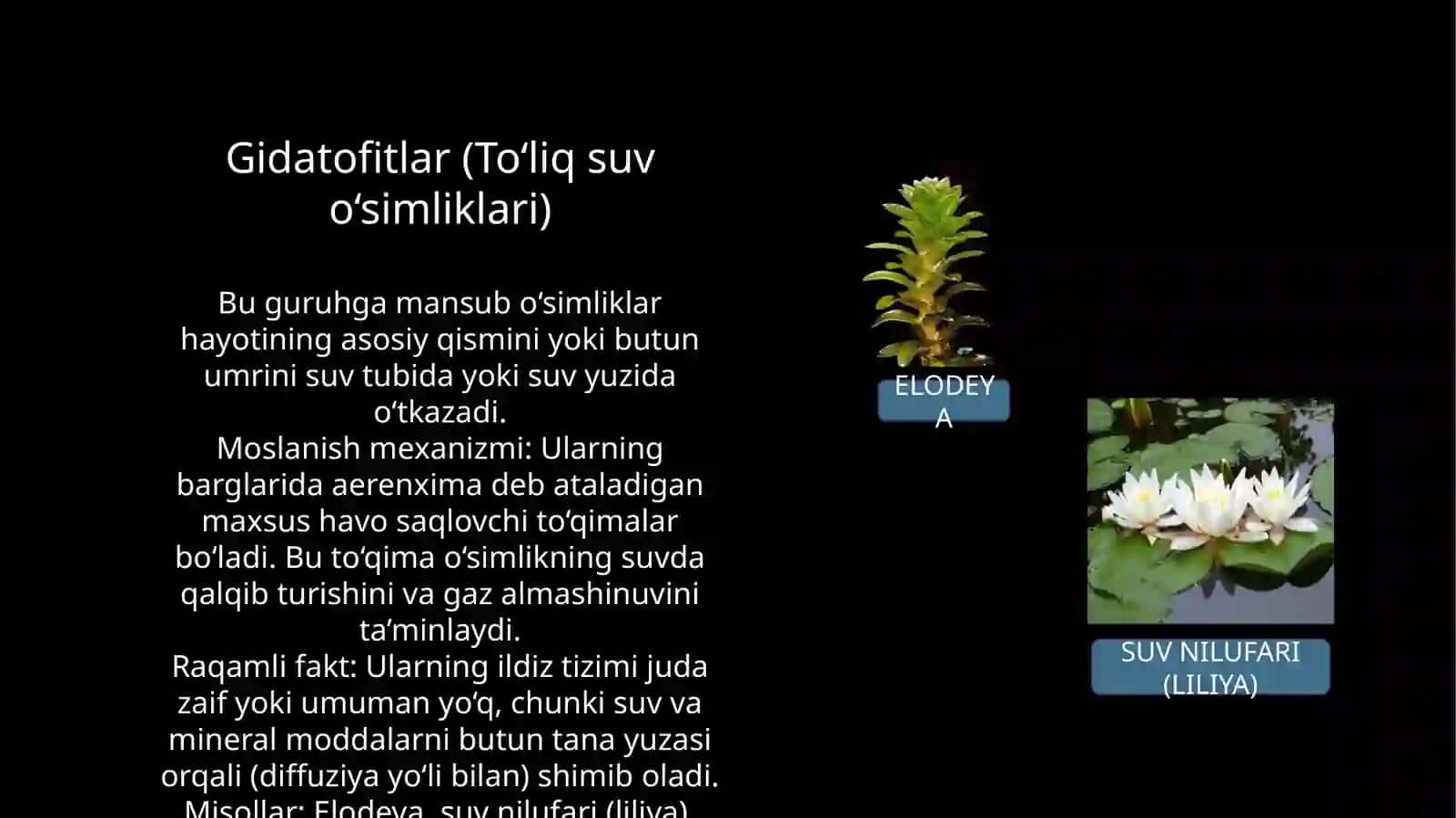 Biotexnologiya yo’nalishi 4