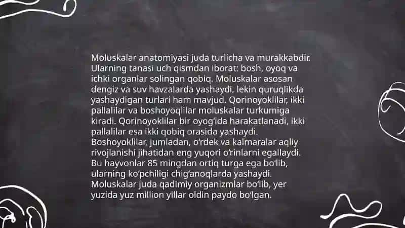 Mollyuskalar tipi 4