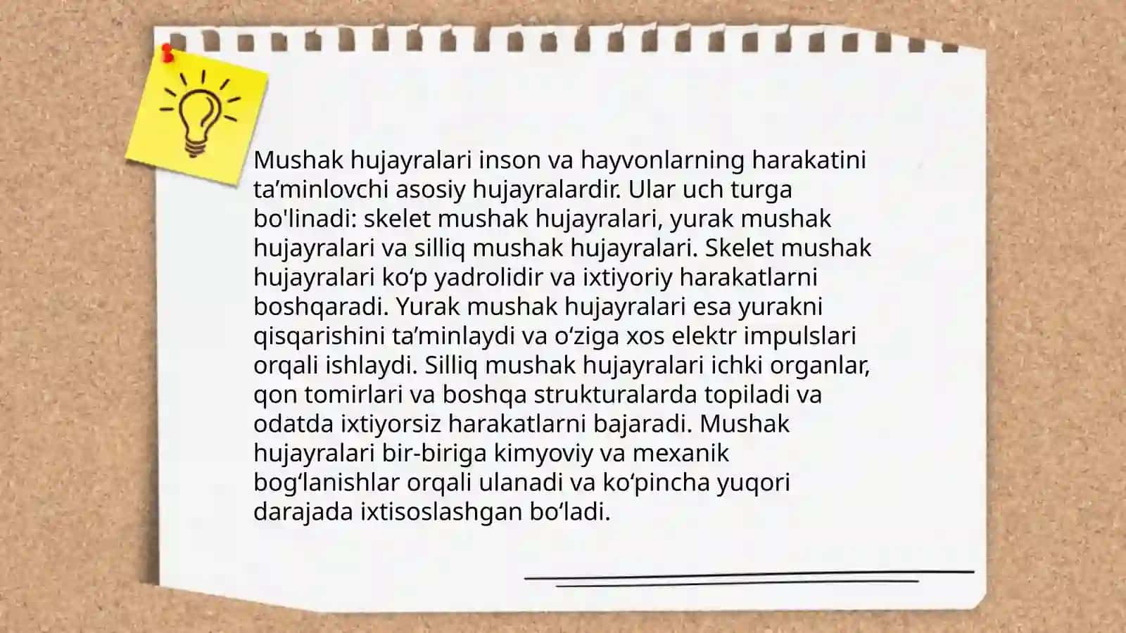 Mushak qisqarish mexanizmining morfologik asoslari 4