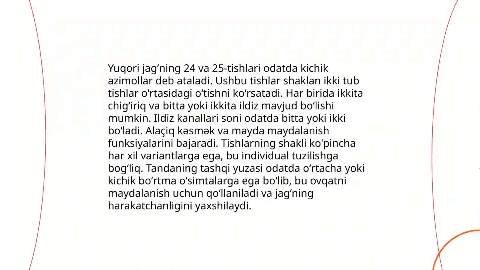 Yuqori jag'ning 24 va 25 primolyar tishlari to'liq malumot 4