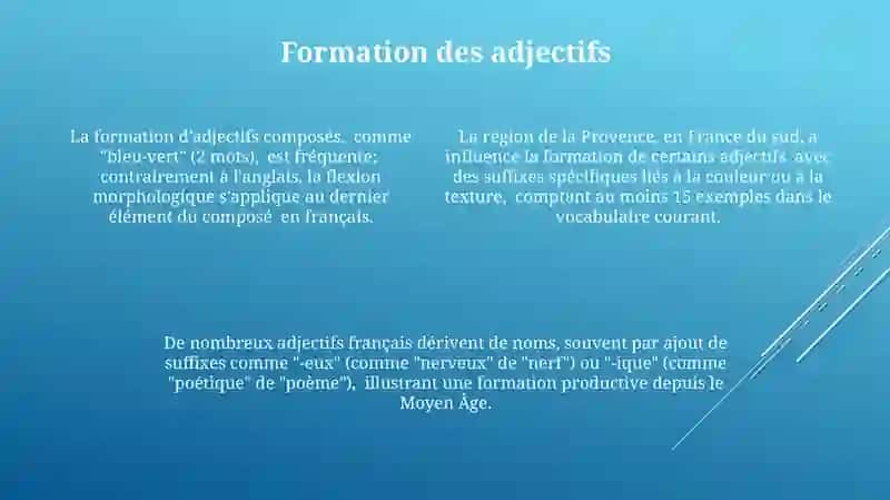 L’adjectivation des mots français 4
