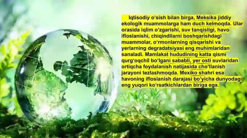 Yashil iqtisodiyotni barqaror rivojlanishda tutgan o'rni 4