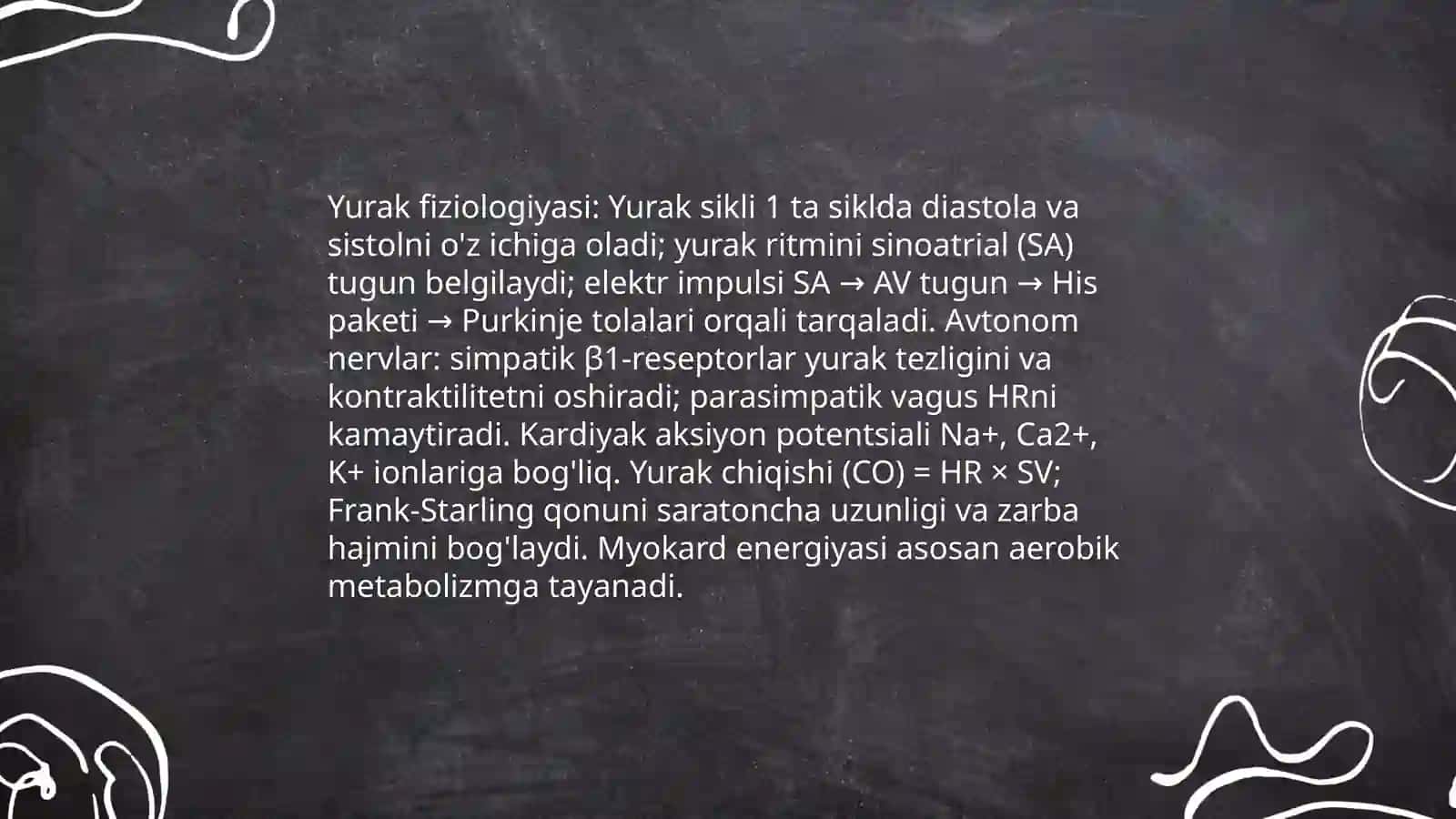 Yurak anatomiyasi 4