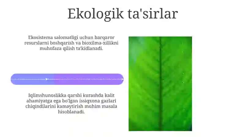 Yashil iqtisodiyotga oʻtishni baholash 4