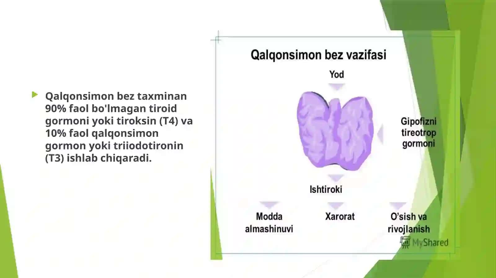 Ichki sekretsiya bezlari fiziologiyasi.Gipptalo-gipofizar tizim,qalqonsimon bez va qalqonsimon oldi bezlari fiziologiyasi 4