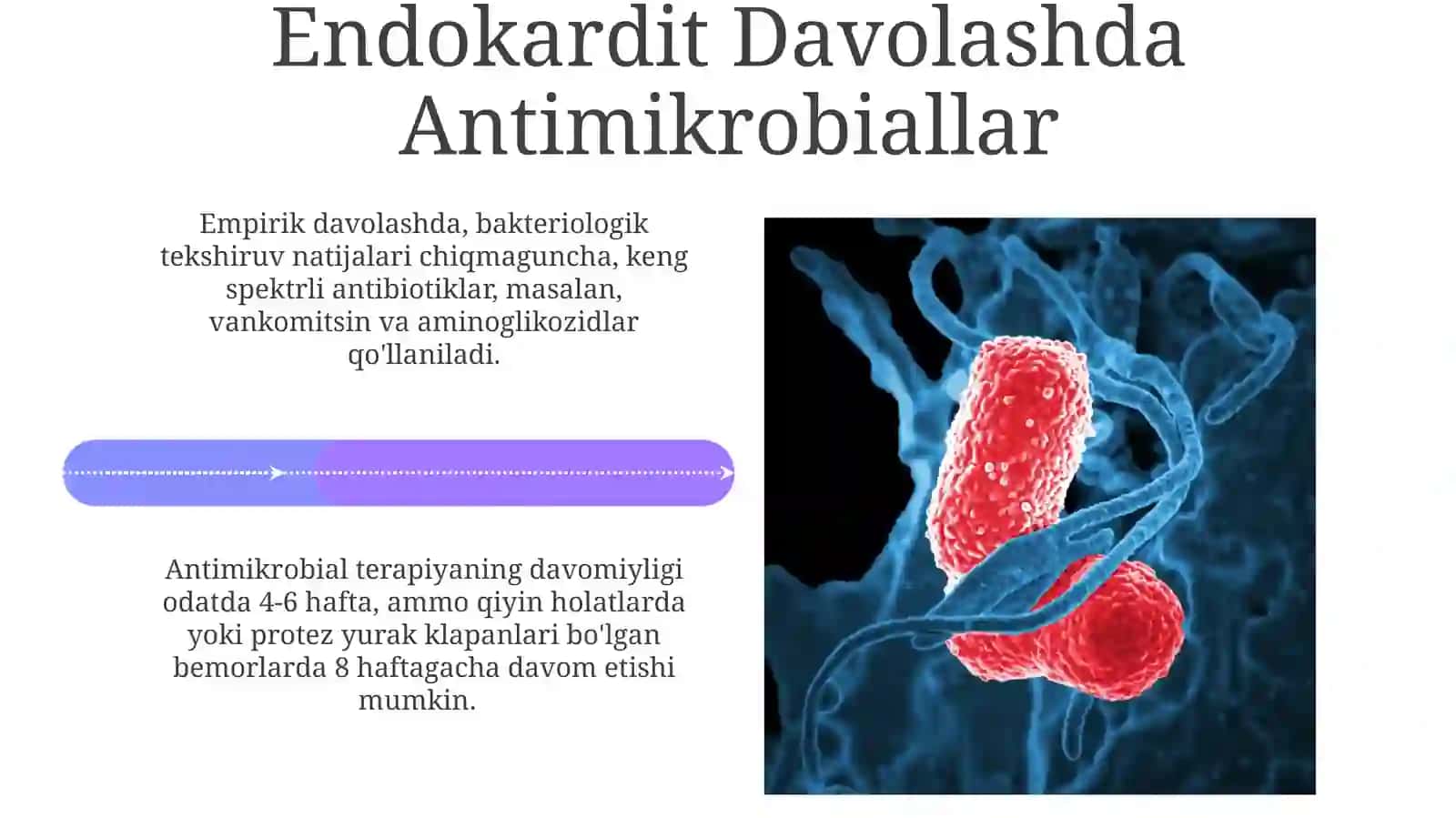 Yarali Kolitning Mikrobiologik Aspektlari 4