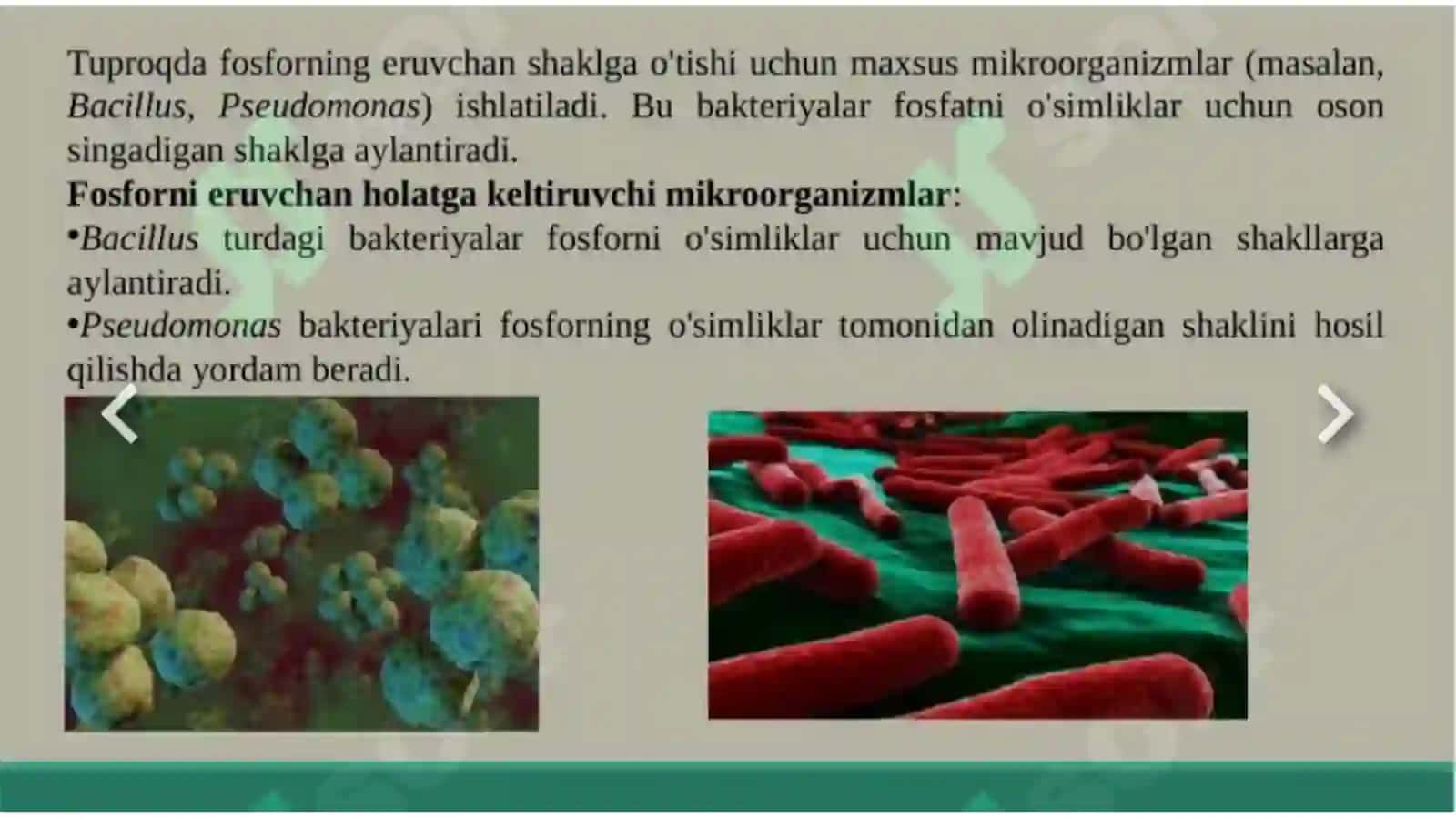 Tuproq unumdorligi oshirish 4