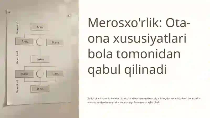 Merosxo'rlikni dasturlashda qo'llanishi 4