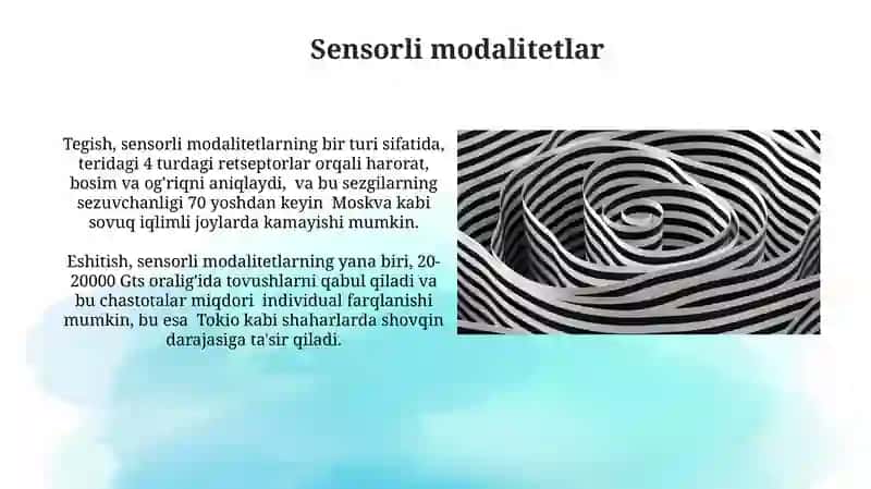 Sodda psixik jarayonlar Diqqat, sezgi, idrok 4