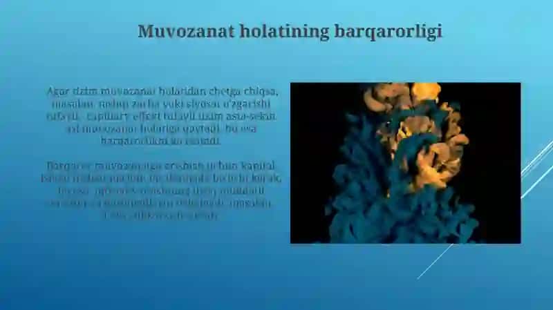 R.Solou modelida kapilatling chiqib kelishi aholi soni oʻsishning barqaror muvozanati 4