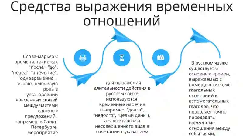 Скелет туловища 4
