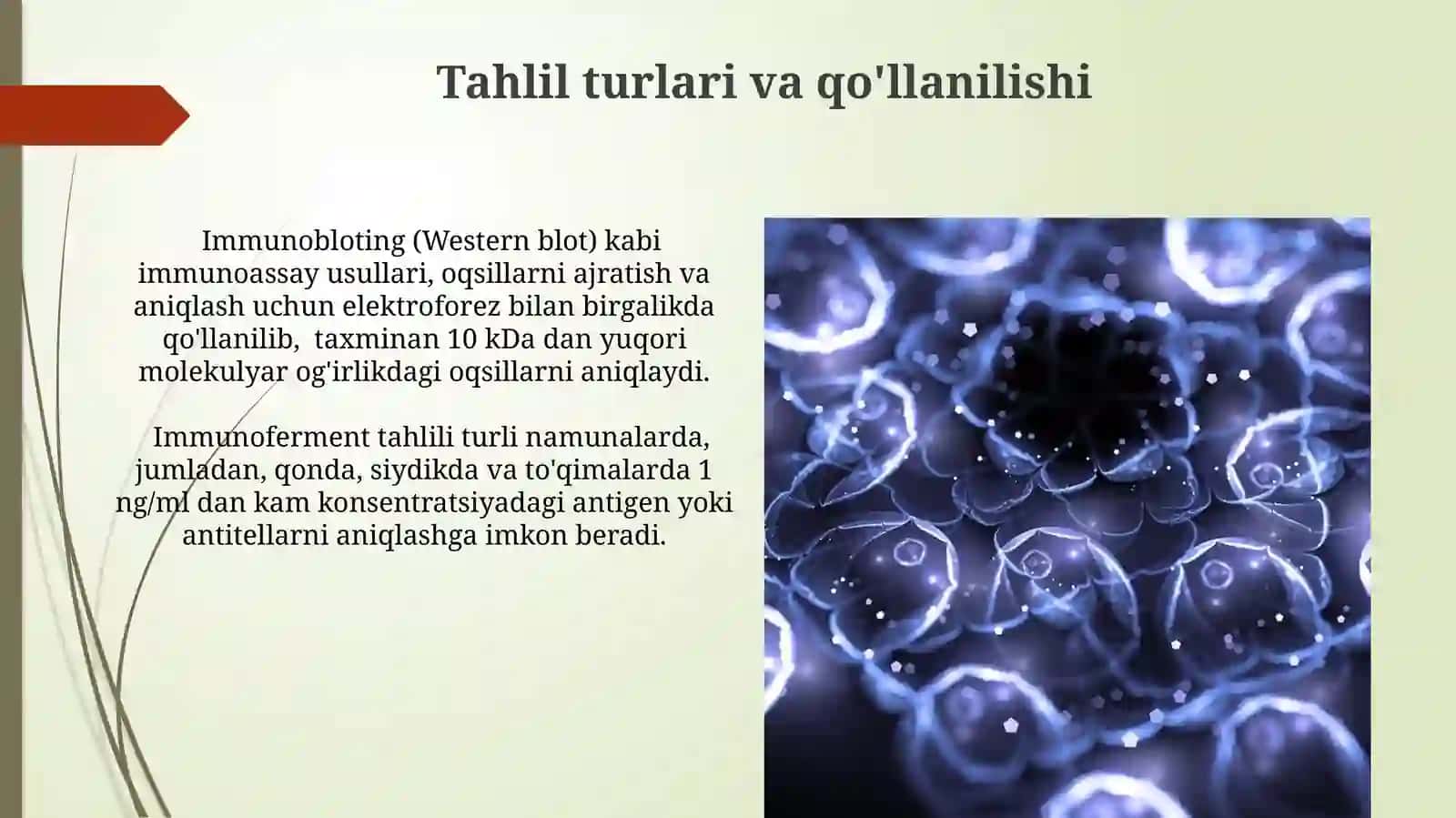Immunoferment taxlil usuli 4