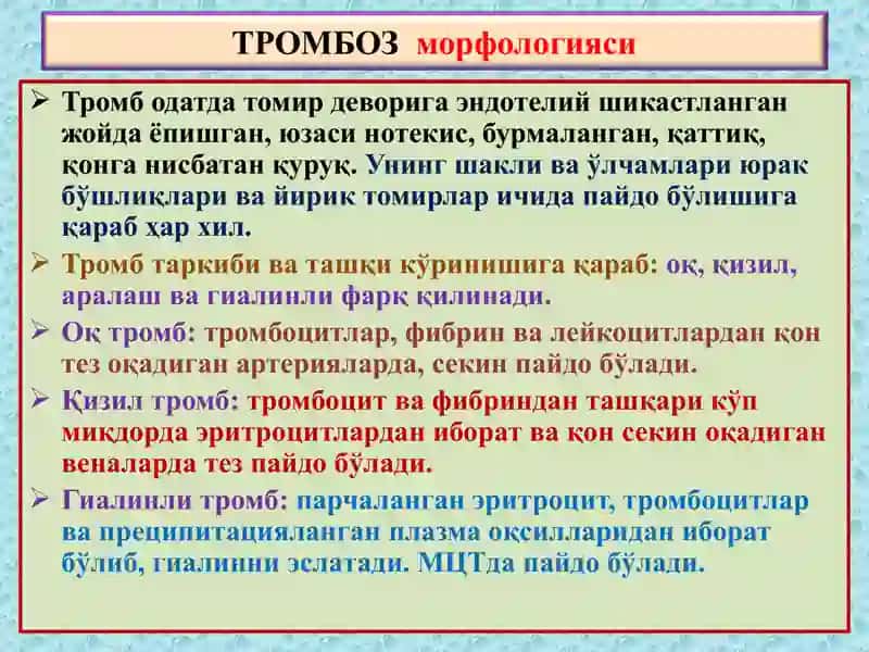 Тромбоз, эмболия, инфаркт 4
