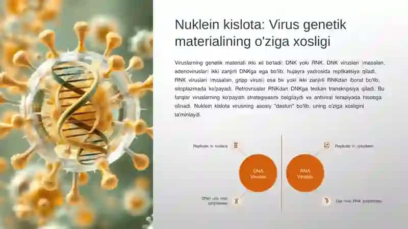 Viruslar. Umumiy tuzilishi va farqlari 4