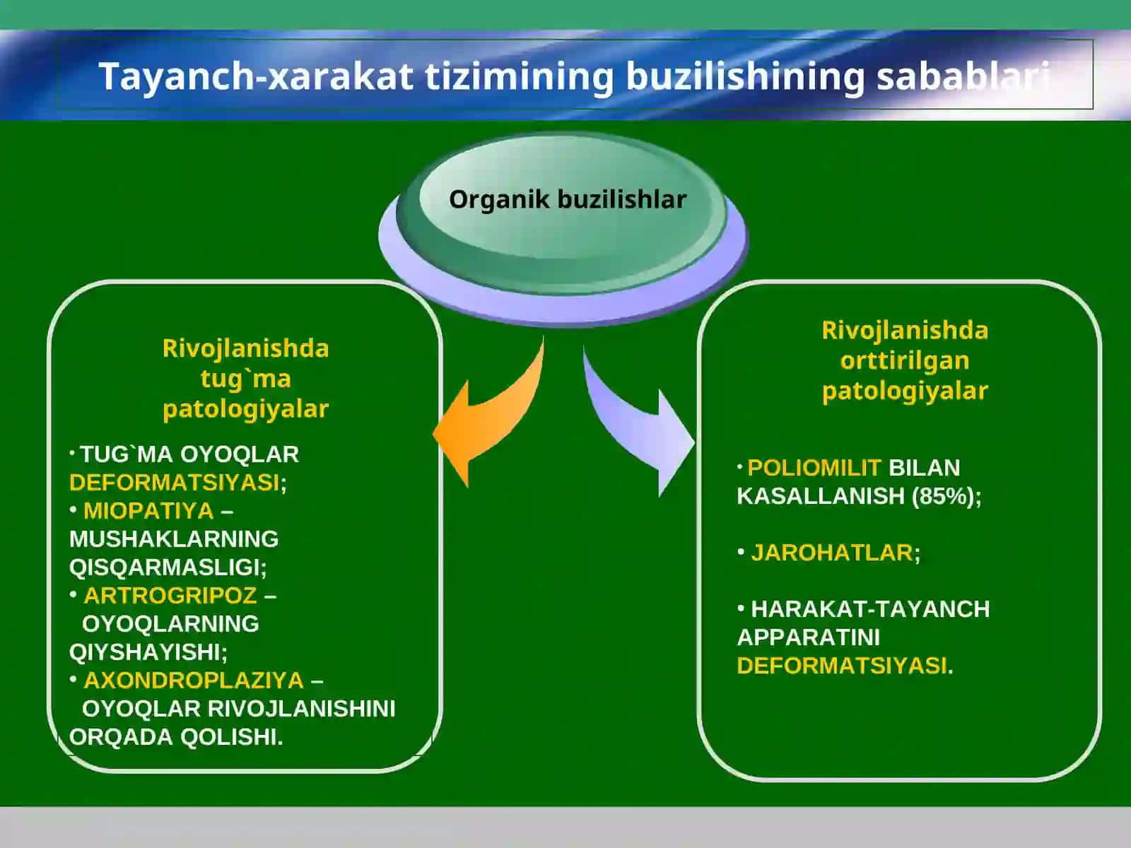 Harakat- tayanch apparatida nuqsoni bo`lgan bolalargakorreksion-pedagogik yordamni tashkil etish 4