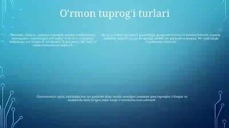 Órmon Va Órmon Dasht Tuproqlari 4