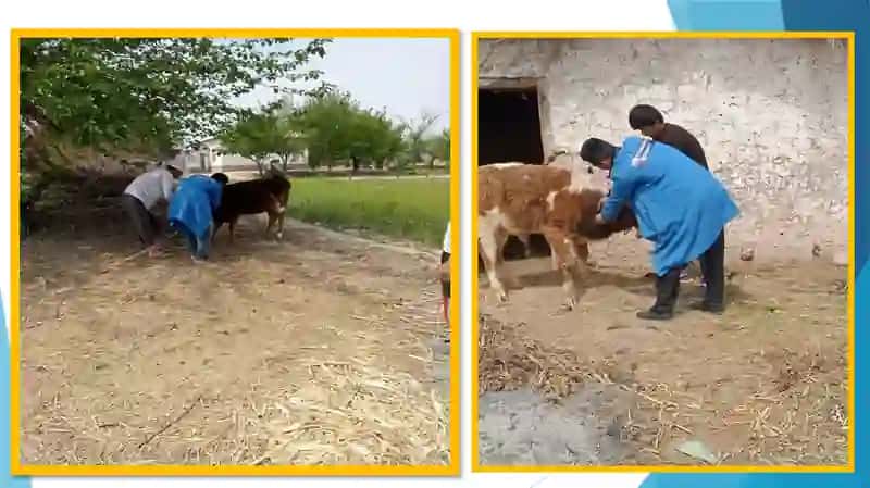Veterinariya ishini tashkil etish iqtisodi va qonunchiligi 4