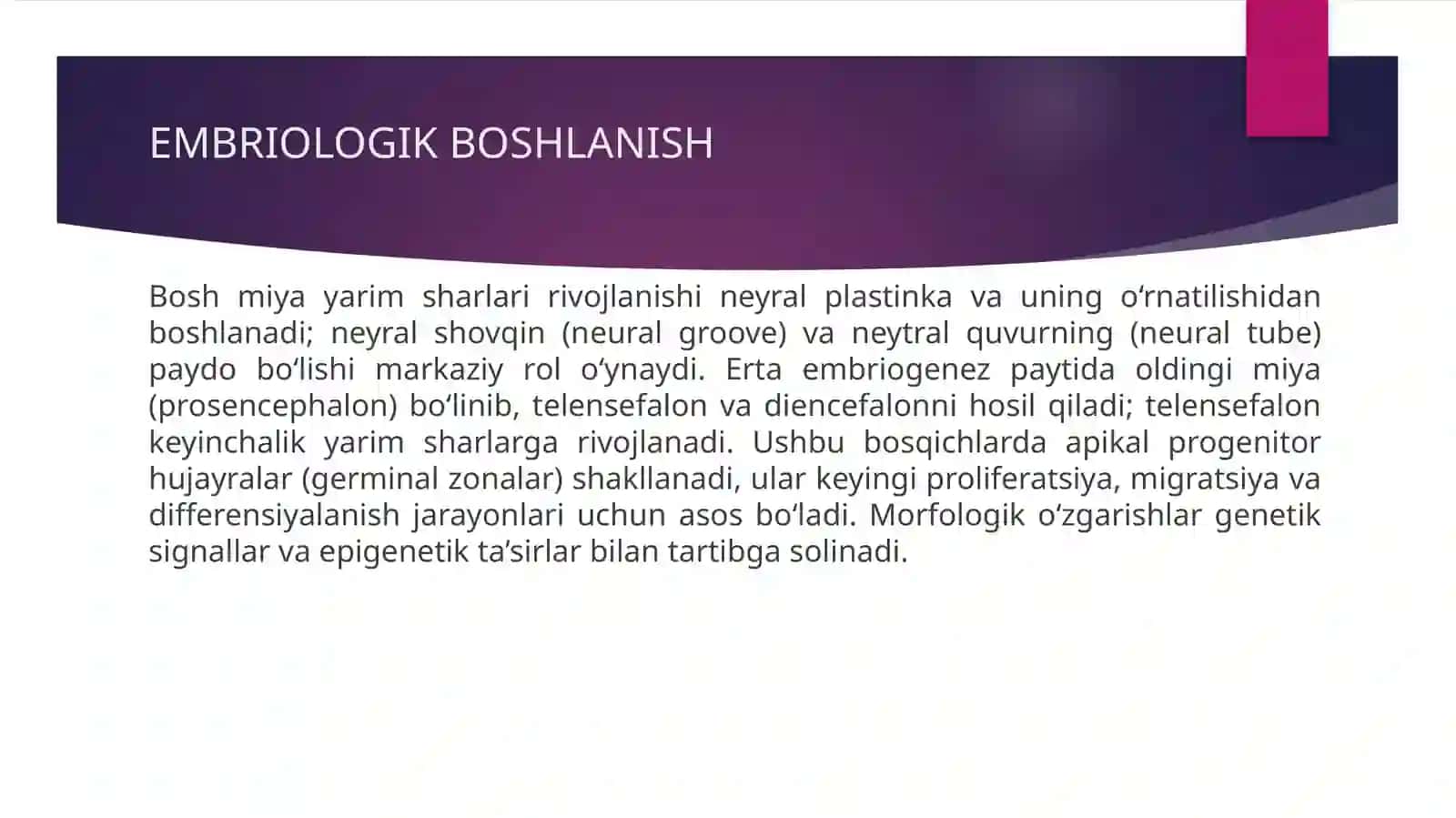Bosh miya yarim sharlari postlogining morfogenezi. (Gistalogiya) 4