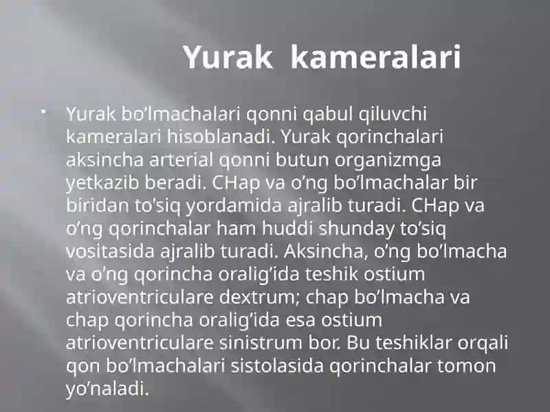 Yurak tuzilishi 4