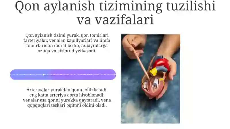 Qon aylanish tizimi kasalliklarining oldini olish 4