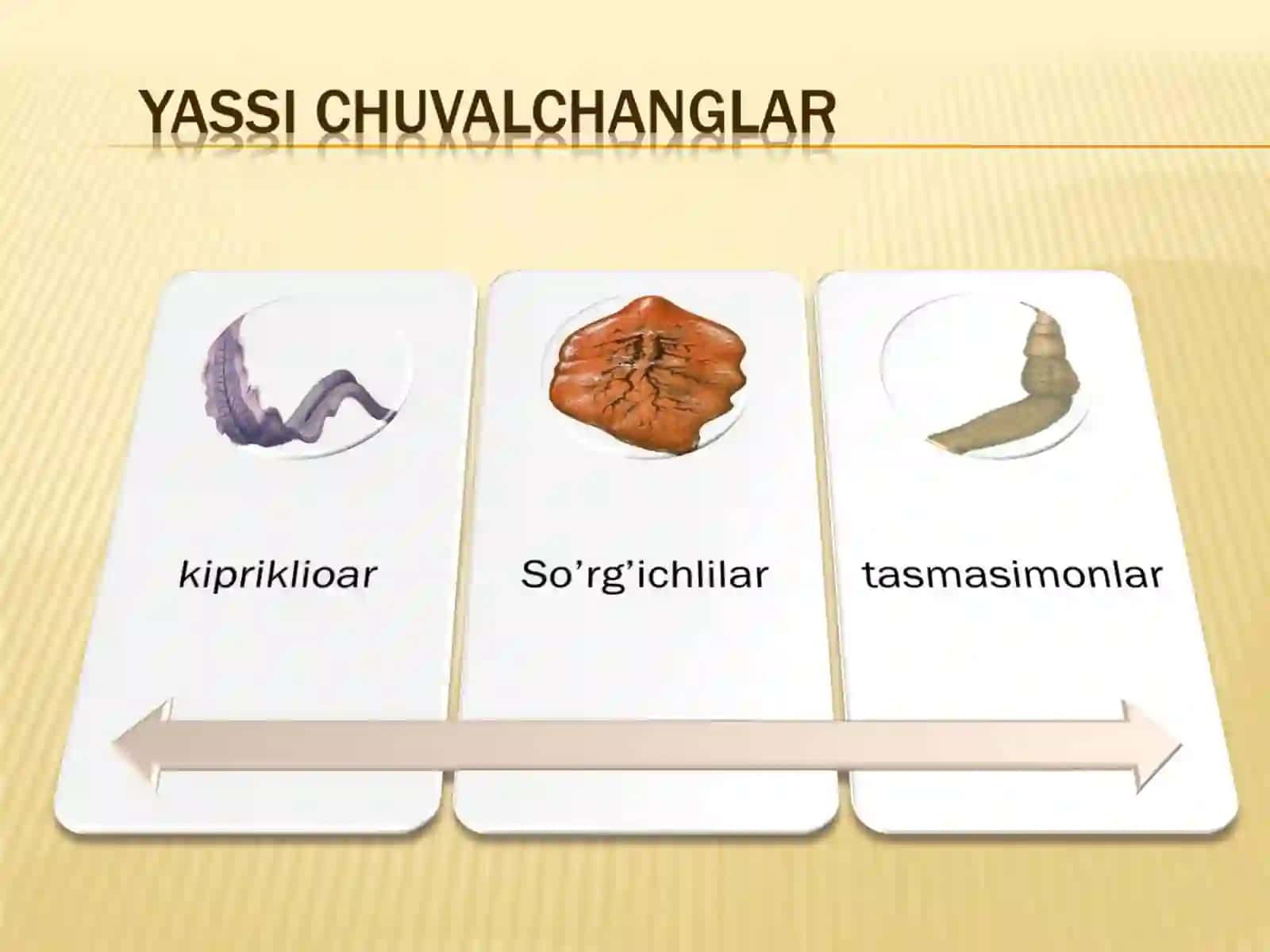 YASSI CHUVALCHANGLAR (PLATHELMINTHES)TIPI 4