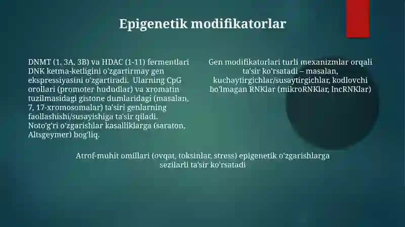 Modifikatorgenlartaʼsiri 4