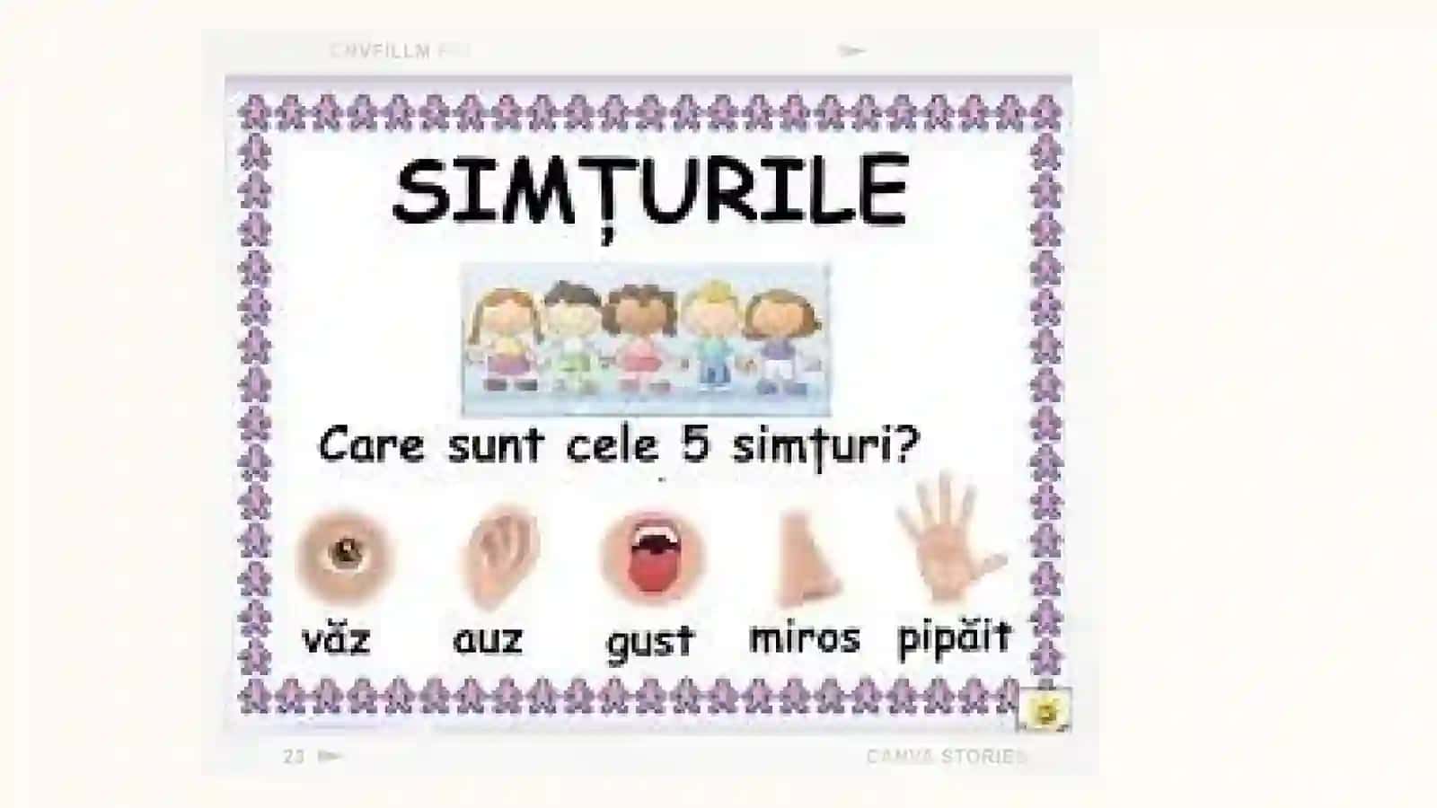 Sezgi va idrokning psihologik mohiyati,fiziologiyasi 4