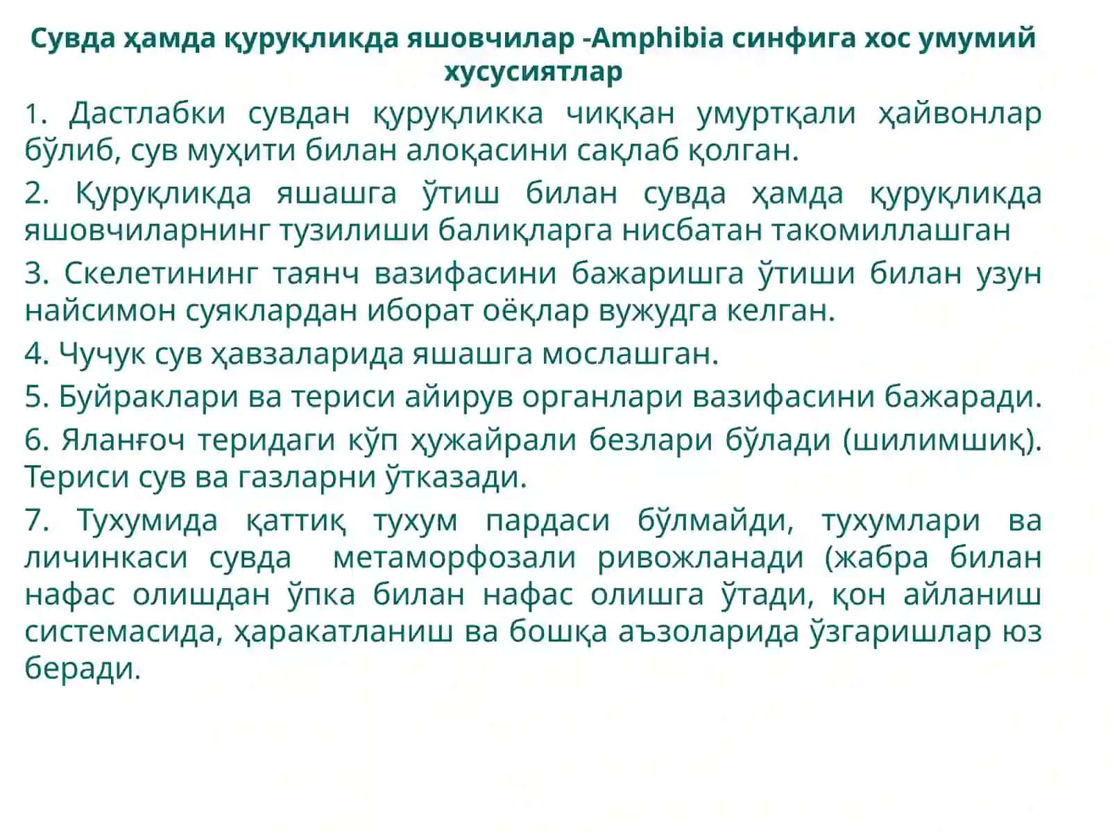 Тўртоёқлилар ёки қуруқликда яшовчи умуртқалилар-Tetrapoda катта синфи 4