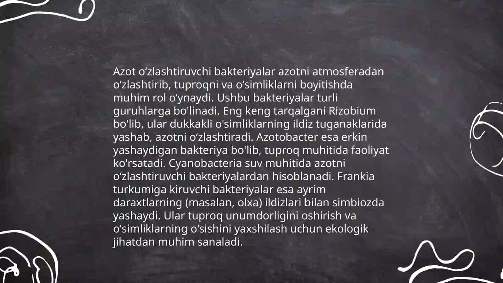 Azot oʻzlashtiruvchi bakteriyalar biologiyasi 4