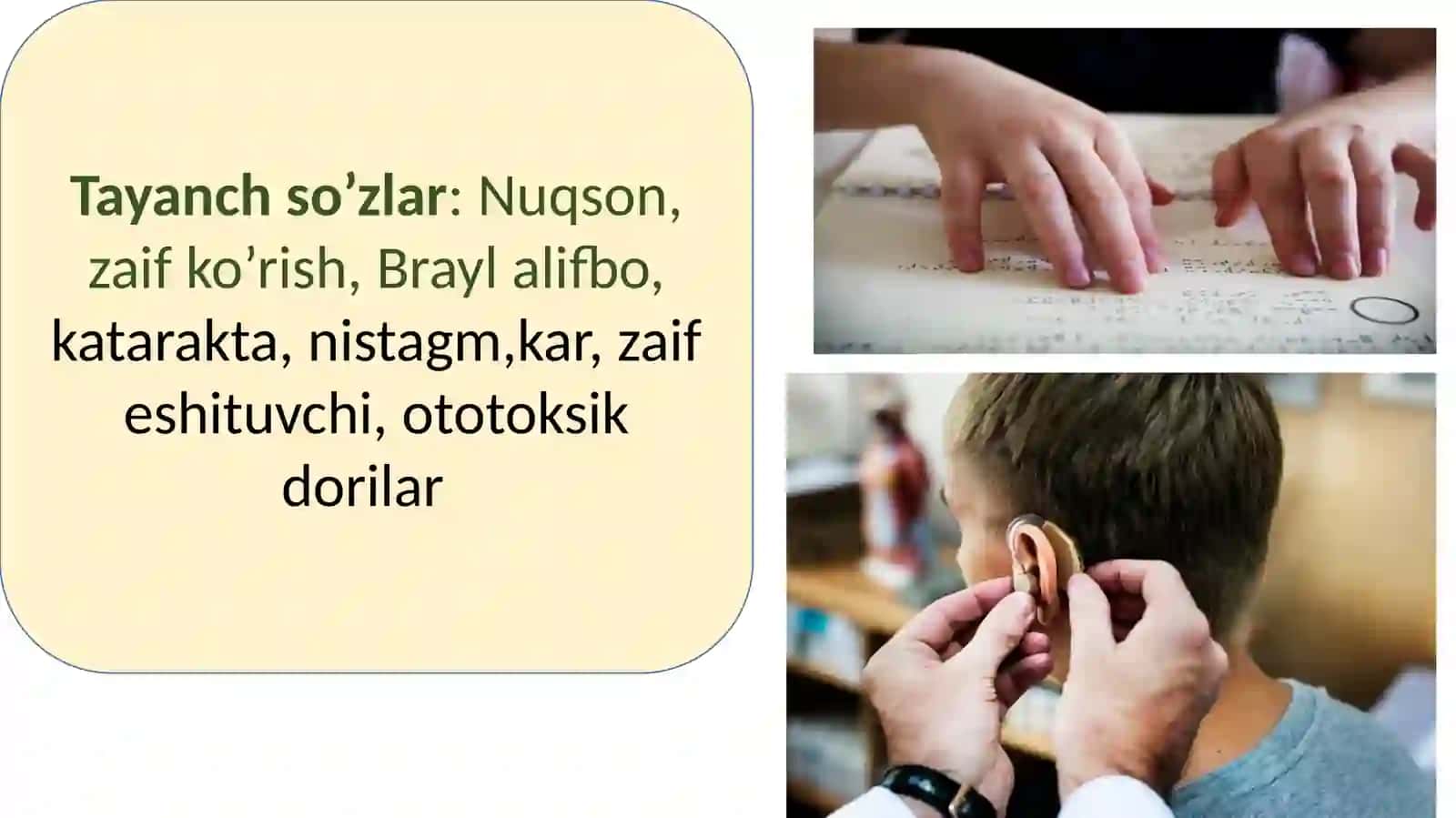 Sensor kamchiliklarga ega bo‘lgan bolalar uchun inklyuziv ta’lim strategiyalari va ularni amalga oshirish shart-sharoitlari 4