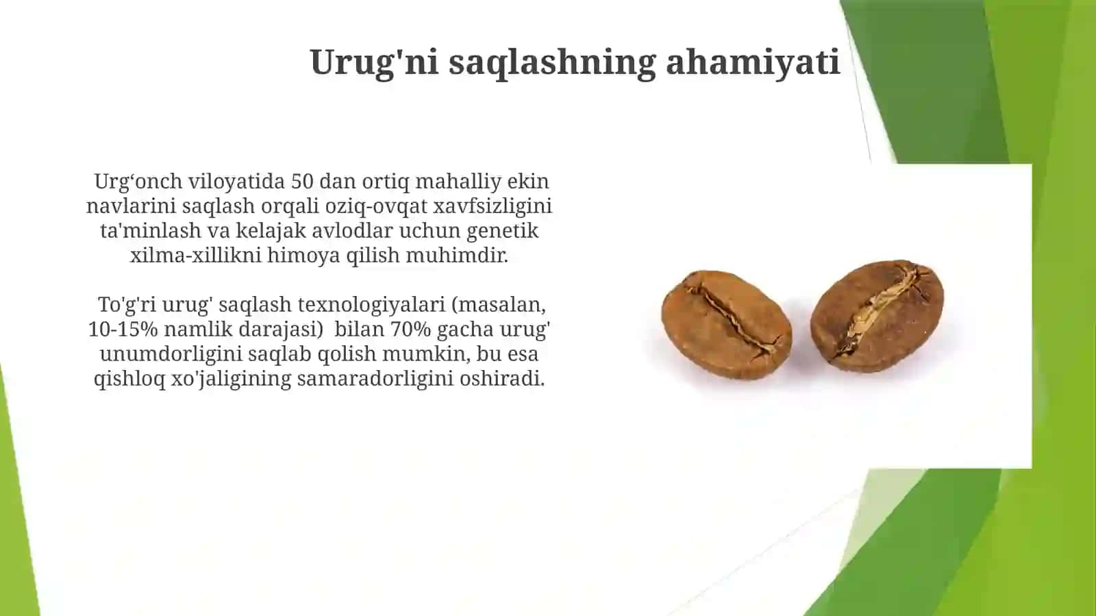 Navdor urugʻlarni saqlash va hujjatlashtirish 4