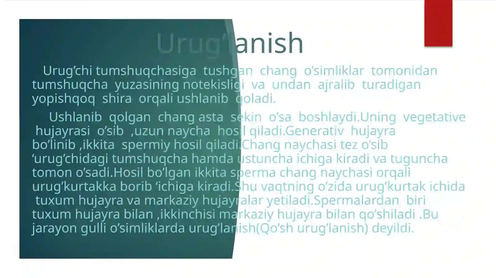 Gullio’simliklarning jinsiy ko’payishi 4