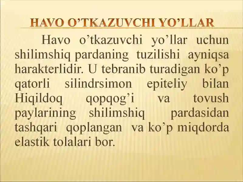 NAFAS TIZIMINING YOSH XUSUSIYATLARI VA GIGIYENASI 4