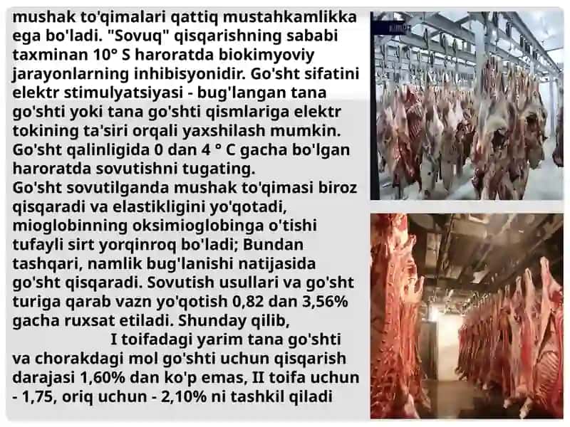 Go'sht va sut mahsulotlari sovutish 4