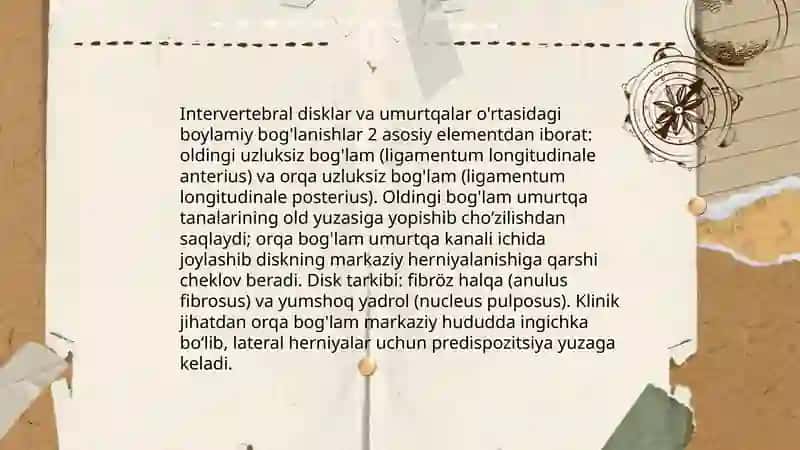 Umurtqa pog'onasining suyaklararo birlashuvi va boylamlar anatomiyasi 4
