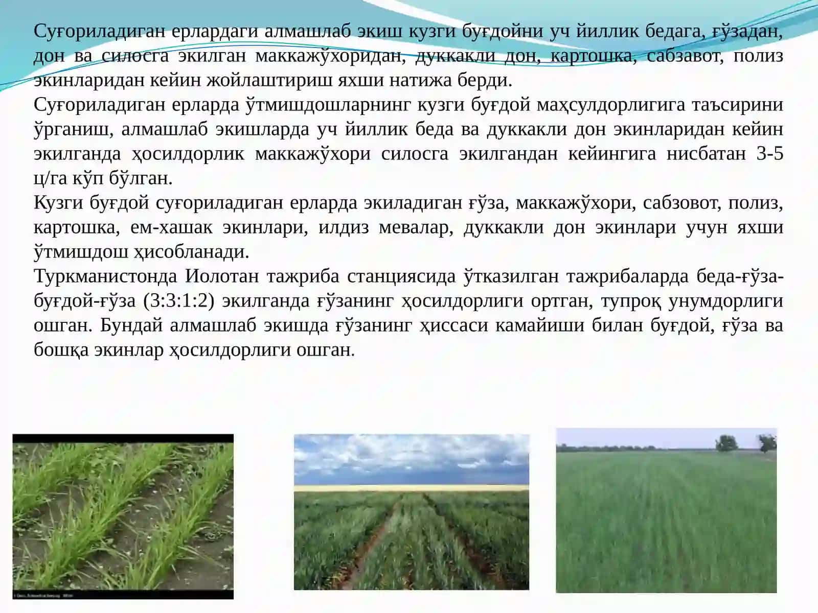 Ўсимликшунослик 4