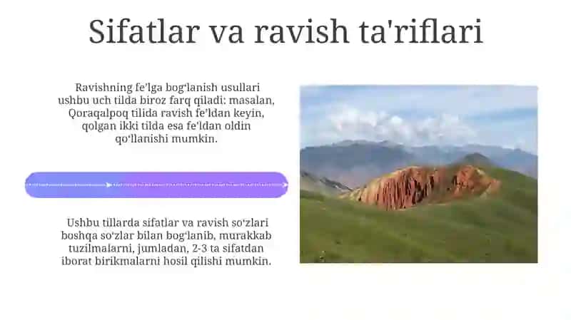 Qozoq, qoraqalpoq qirğiz tillarining sintaktik xususiyatlari 4