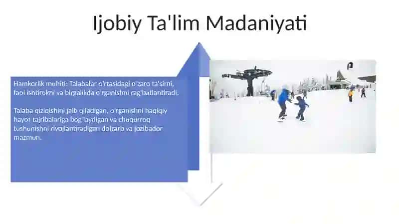 Integratsiyalashgan darslarning samaradorligini oshirish omillari 4