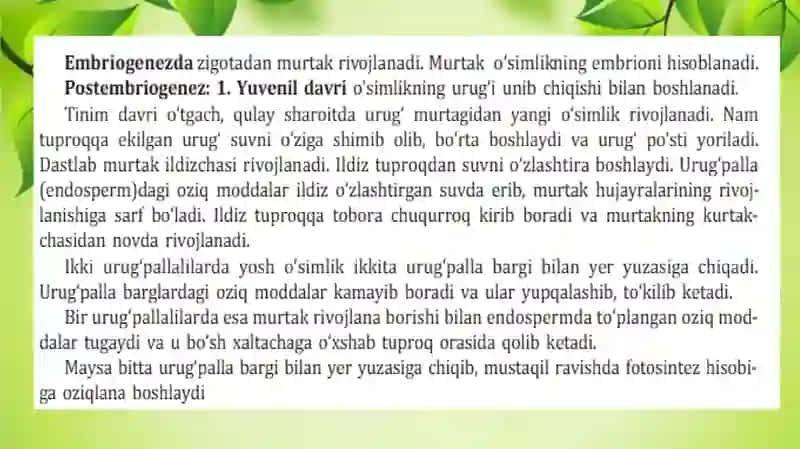 7-sinf Biologiya Oʻsimliklar individual rivojlanish 4