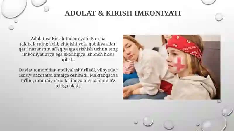 Kanada ta'lim tizimi haqida ma'lumot 4