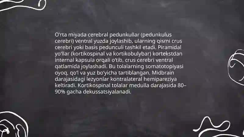 Oʻrta miya, oraliq miya va uchinchi qorinchaning anatomiyasi 4