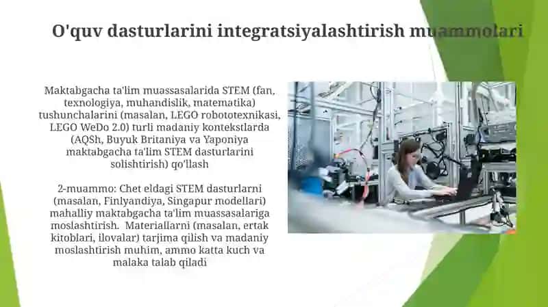 Steam ta'lim texnologiyasini maktabgacha ta'limda qo'llash bo'yicha xorijiy tajribalar 4